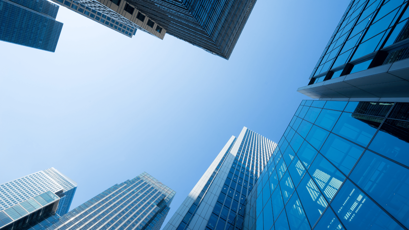 Enhancing Client Feedback Processes for Sustainable Growth