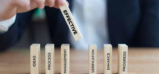 Maximising Project Success Through Effective Performance Measurement